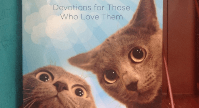 Betty Rocks New Devotional