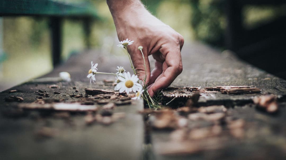 Can You Struggle with Depression, and Be Joyful, at the Same Time?